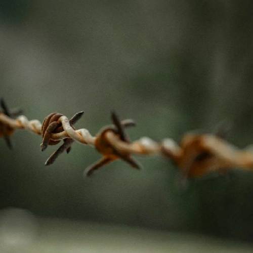 امیرعلی جلالی همه پر زدن و نموندنه جنس دلای آدما این روزا سخت و سنگه